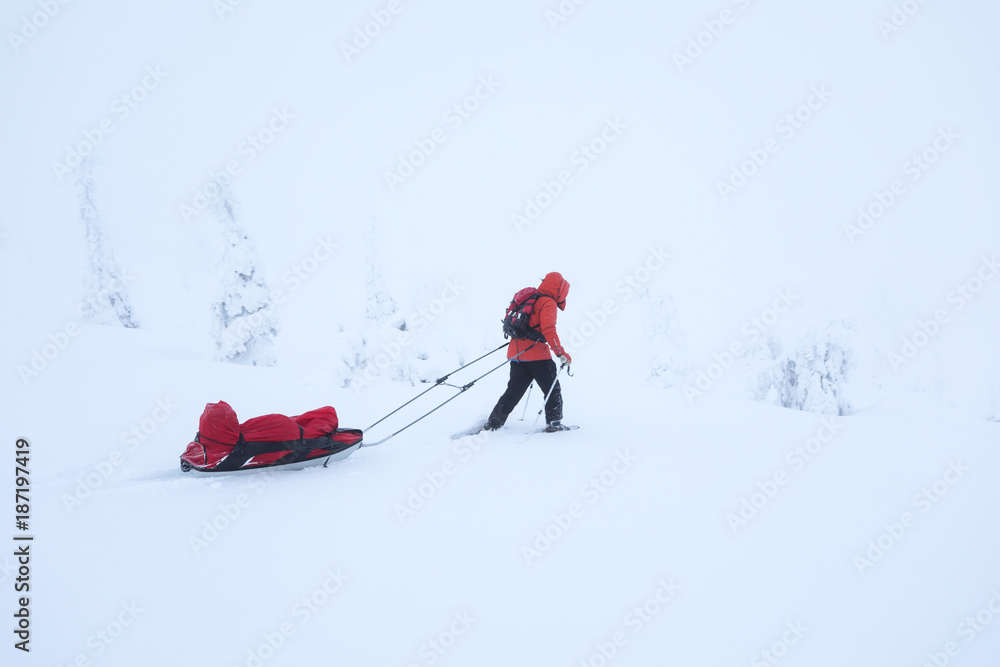 一个穿着暖和的女人在寒冷的冬日穿着雪地鞋在新鲜的白色北极雪地里徒步旅行。