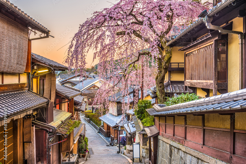 春天的日本京都