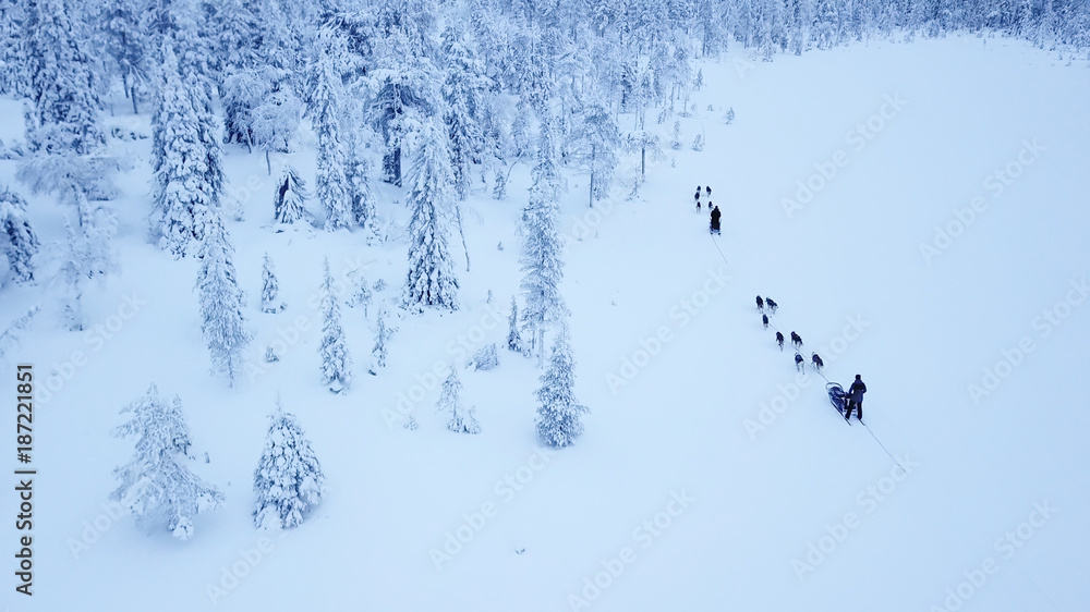 游客在芬兰拉普兰白雪皑皑的北极冬季玩狗拉雪橇的鸟瞰图。Riisit