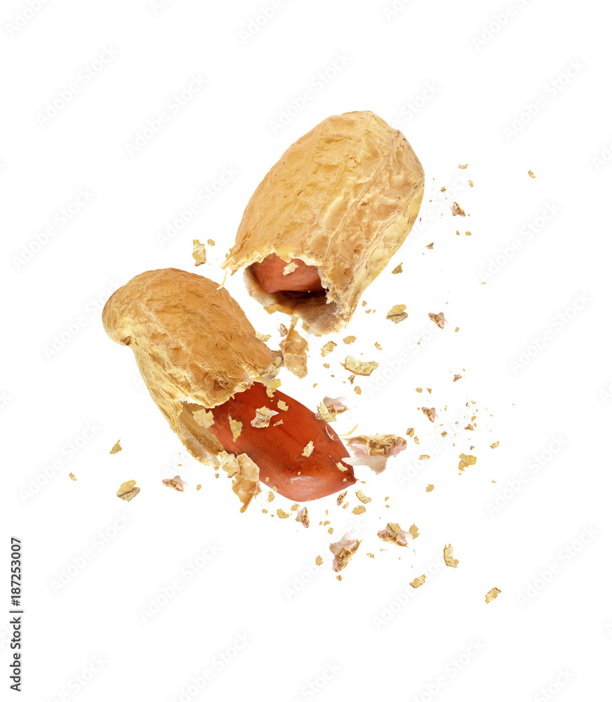 Dried peanut broken into two parts close up, isolated on white background