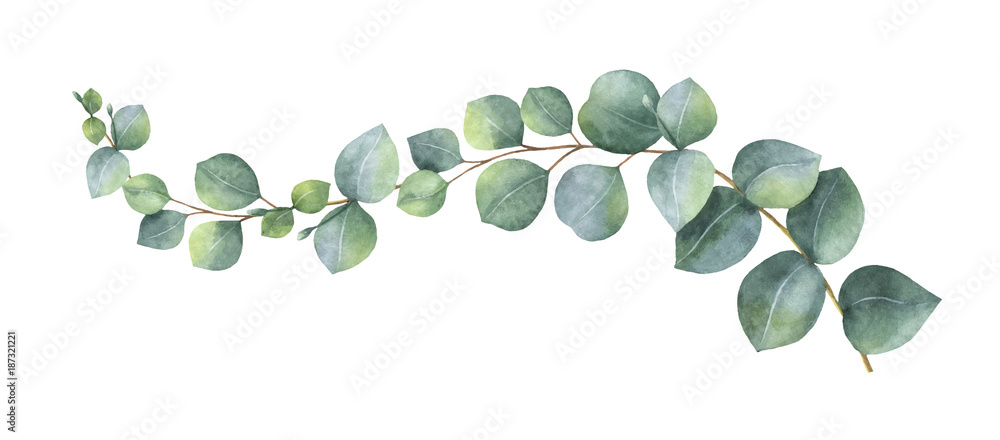 Watercolor vector wreath with green eucalyptus leaves and branches.