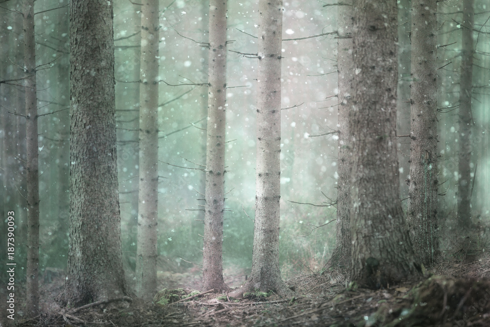 Snow falling in foggy forest landscape.