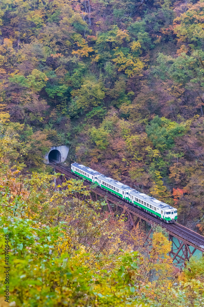 秋天的福岛三岛町田见线