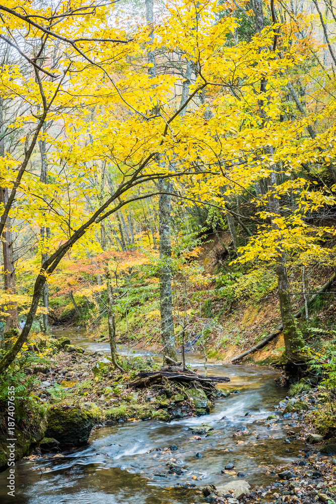 Tatsuzawafudo Falls at Fukushima in autumn