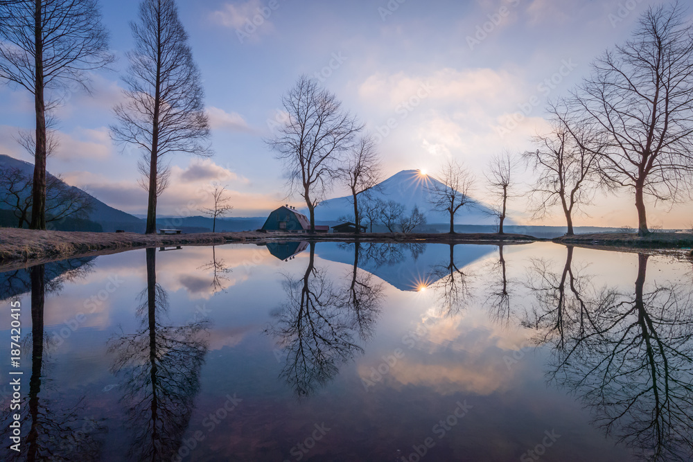 Mountain Fuji in the morning at Fumotopara camping ground, Fujinomiya , Shizuoka prefecture