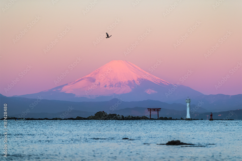 神奈川县横须贺市相模湾冬季早晨富士山的海景