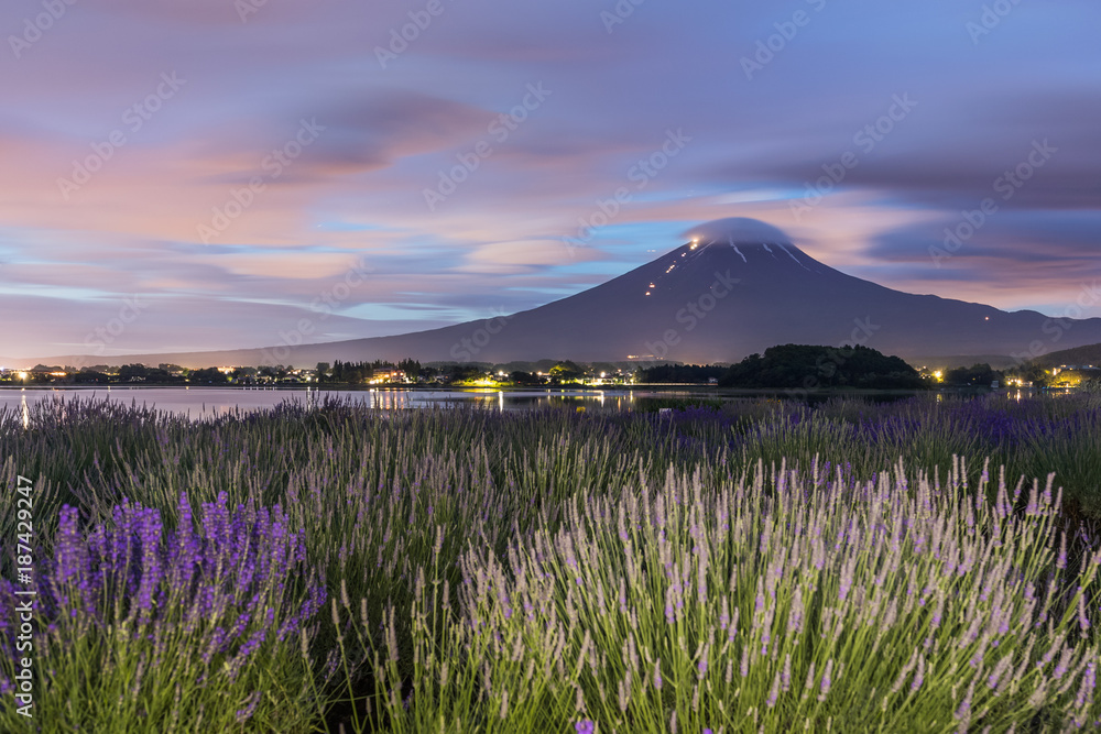 夏季和谷湖富士山和薰衣草田的夜景