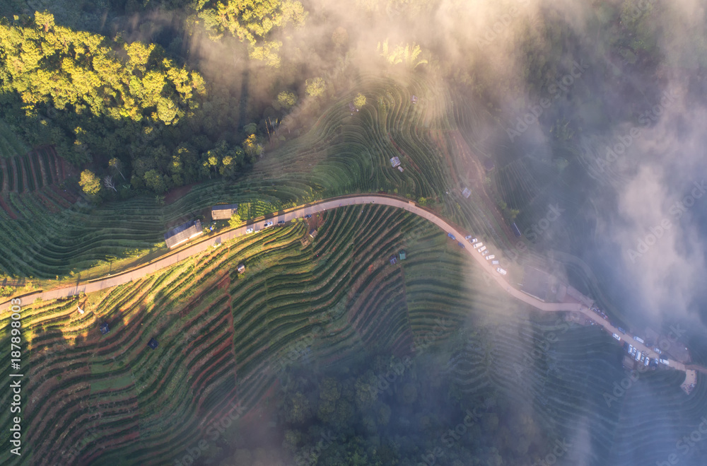 2000年茶园俯视图和Chaing Doi Ang Khang山上漂浮的薄雾