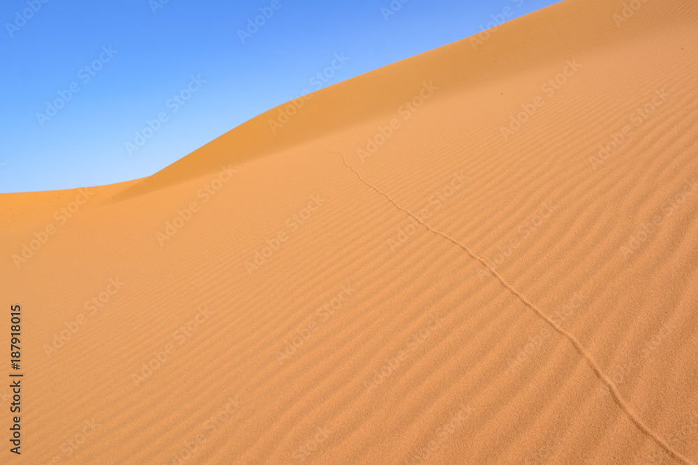 Sahara Desert, Erg Chebi dunes. Merzouga, Morocco