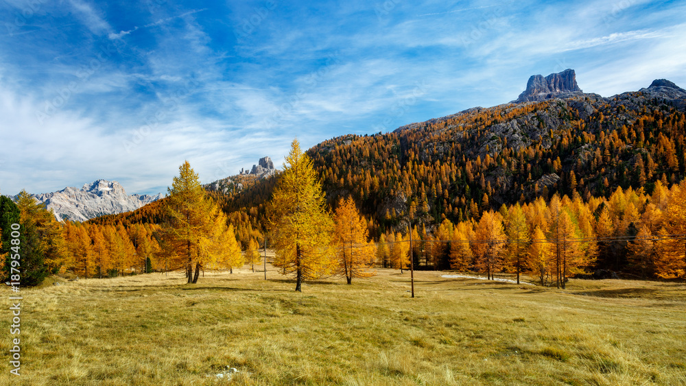 ienne, kolorowe drzewa na łące pod  Monte Averau