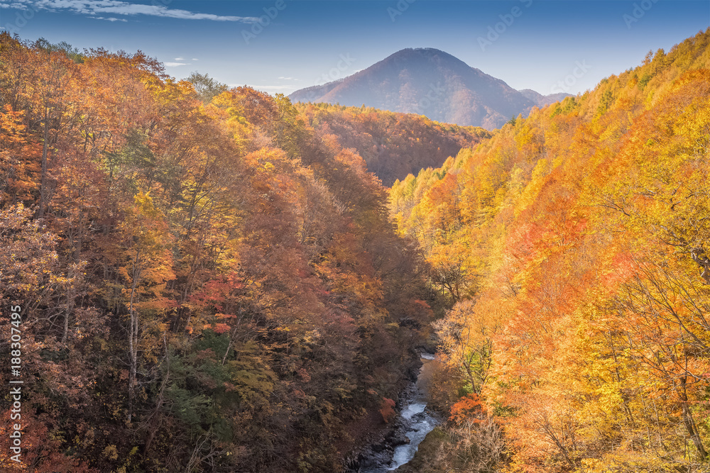 秋天的福岛中津川峡谷