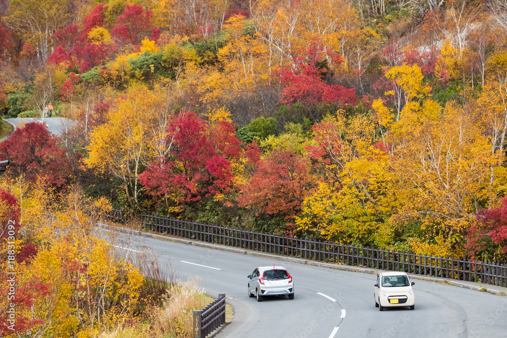 Hakkoda gold line at Aomori prefecture in autumn