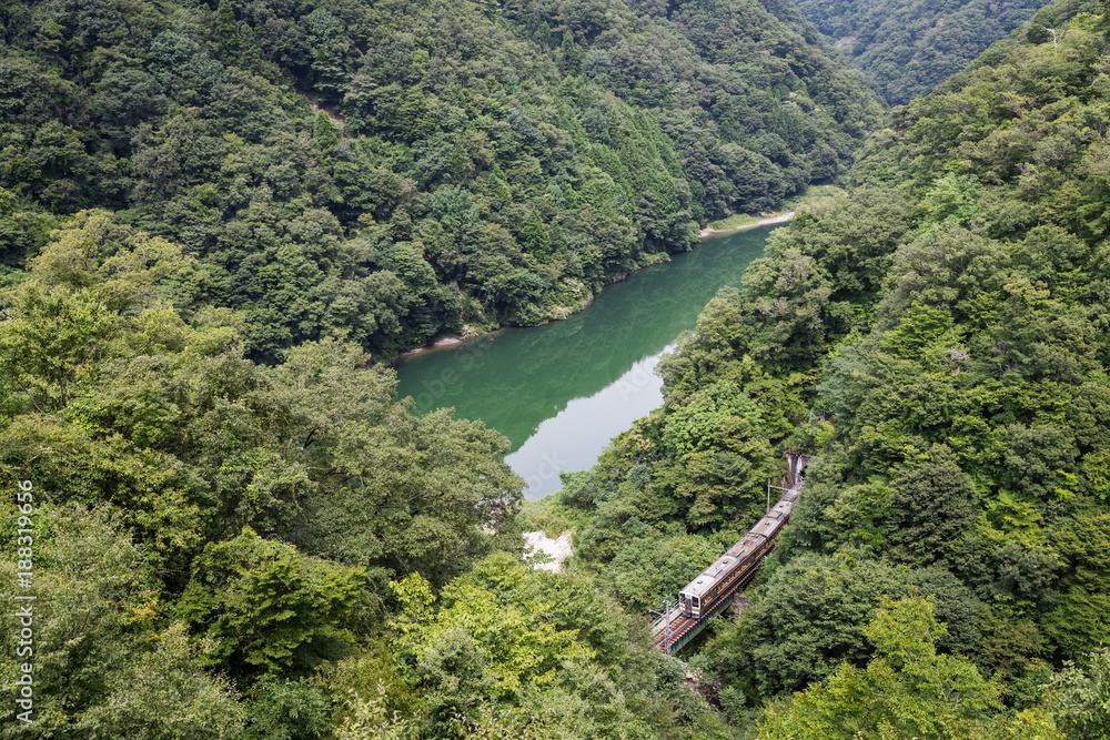 利达线和青山在夏季