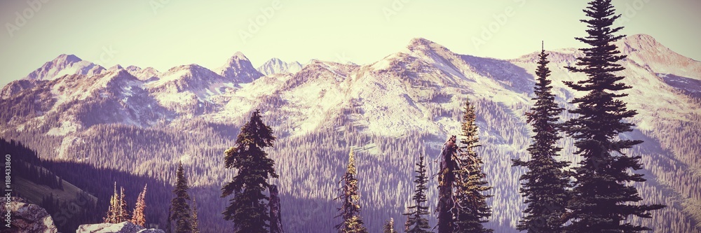 Mountains and forest