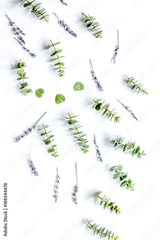 lavander and eucalyptus pattern on white background top view