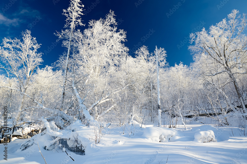 中国雪乡柔和的雾凇和雪景。