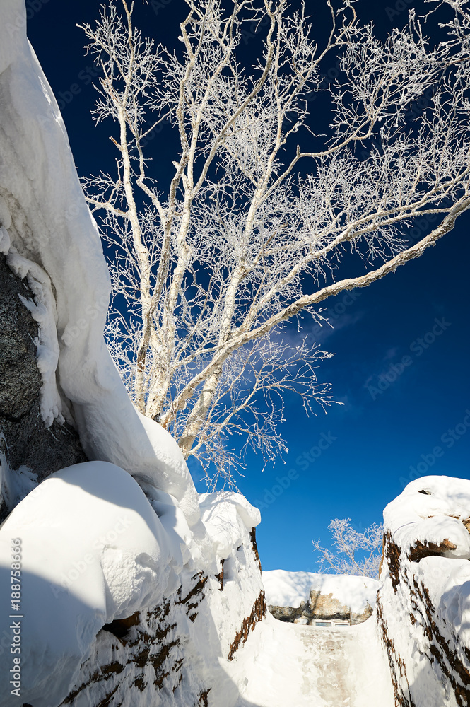 中国雪乡柔和的雾凇和雪景。