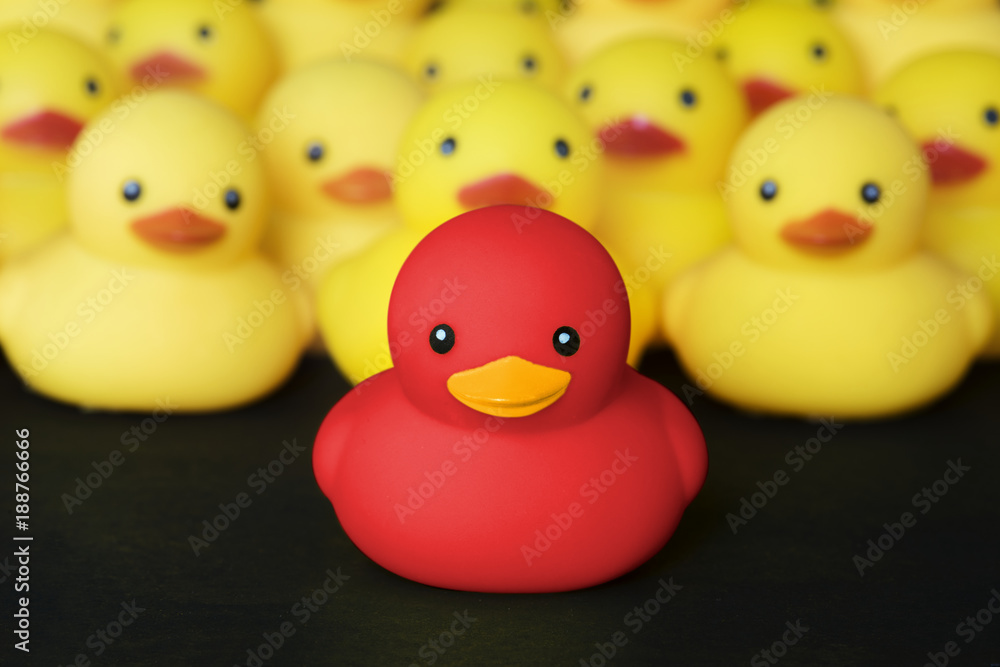 Closeup of rubber duckies