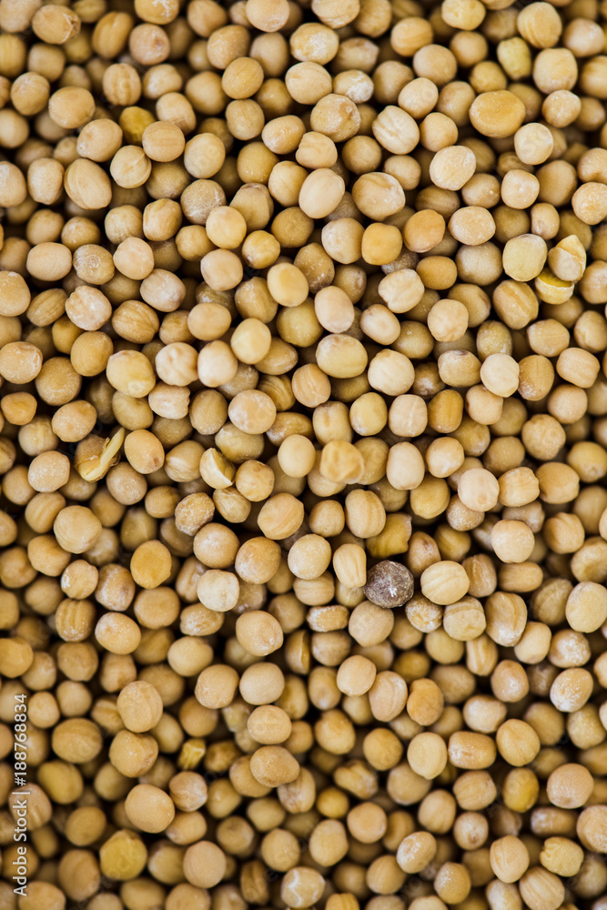 Closeup of coriander seed