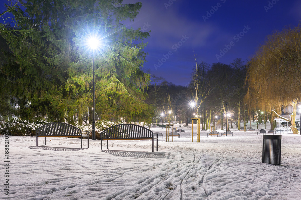 波兰黄昏公园里的雪冬