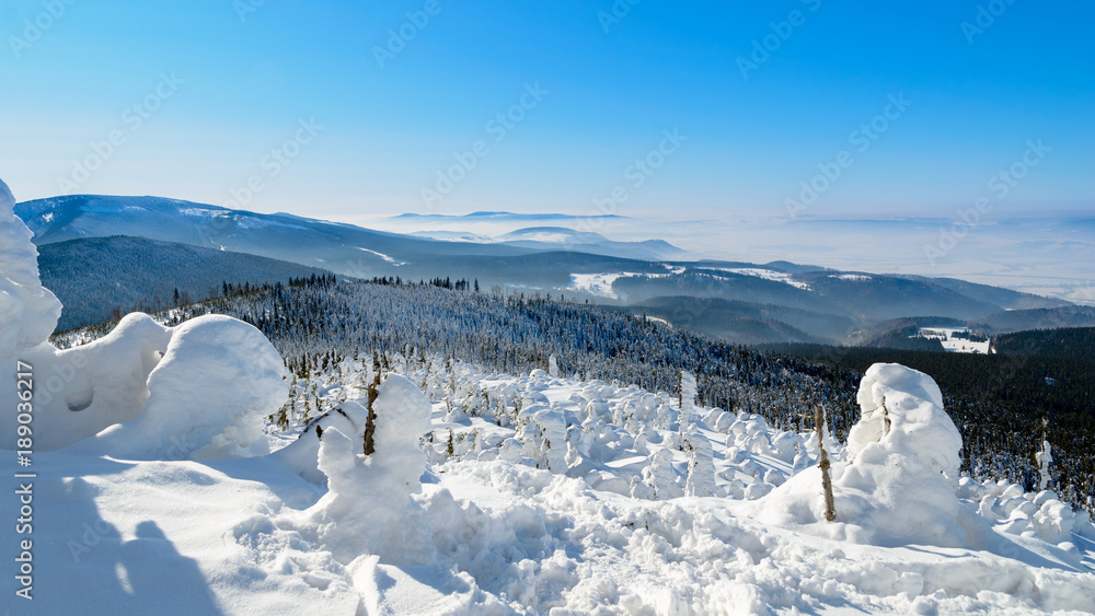 zimowy krajobraz ze śniegiem na drzewach