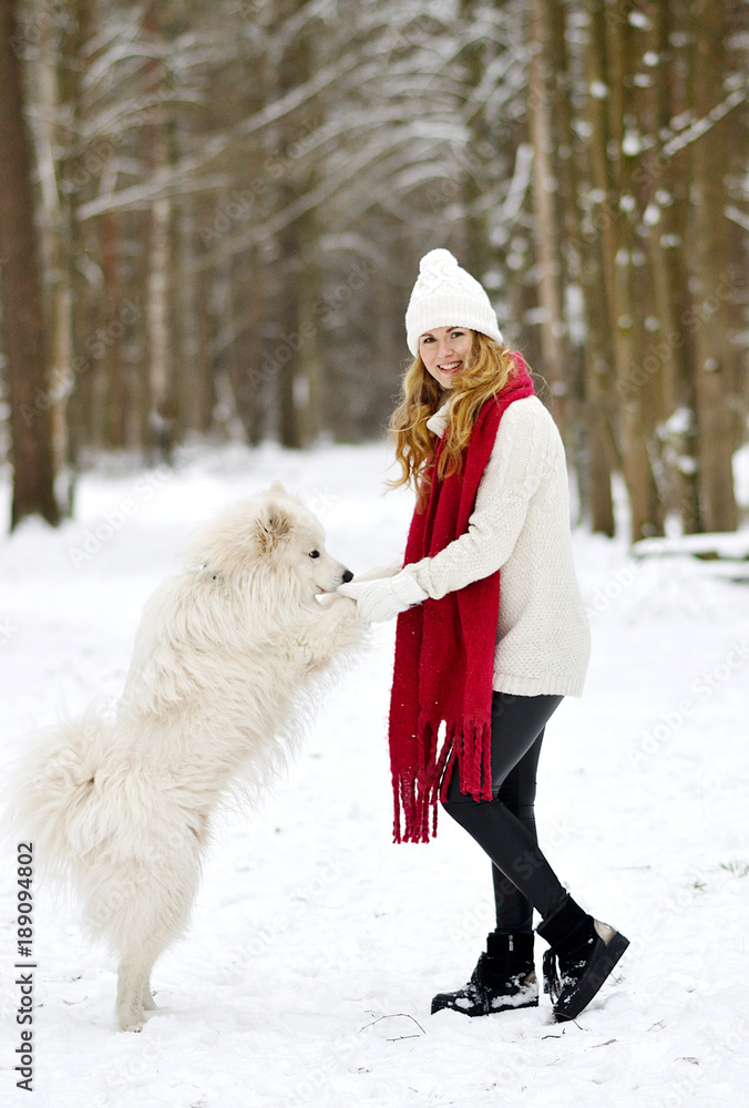 Pretty Young Woman in Snowy Winter Forest Park Walking with her Dog White Samoyed Seasonal 