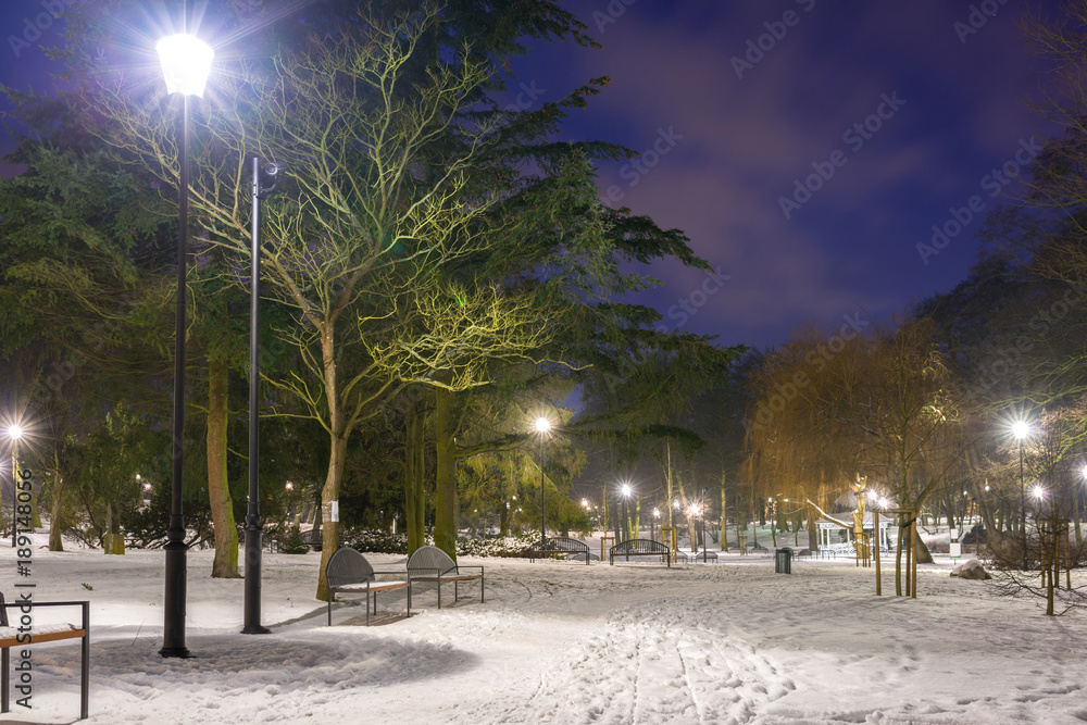 波兰黄昏公园里的雪冬