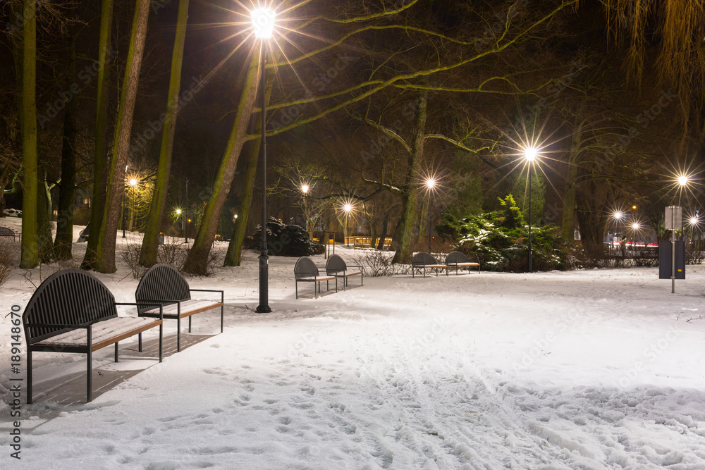 波兰黄昏公园里的雪冬