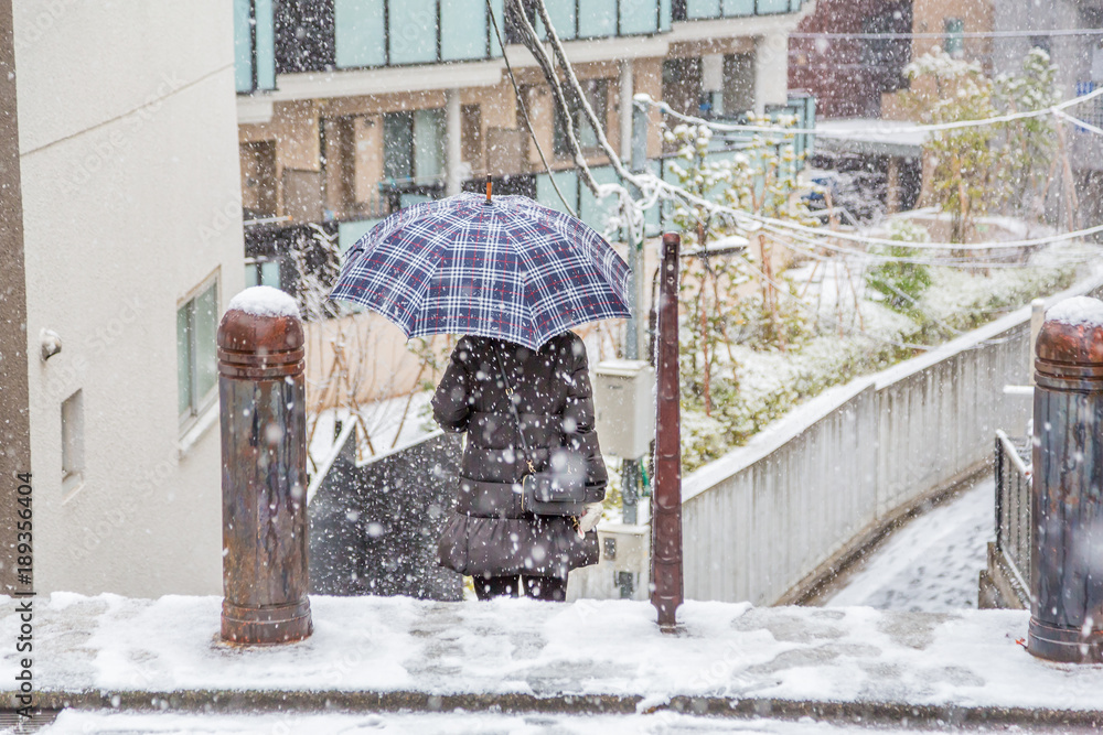 降雪のなかを歩く人