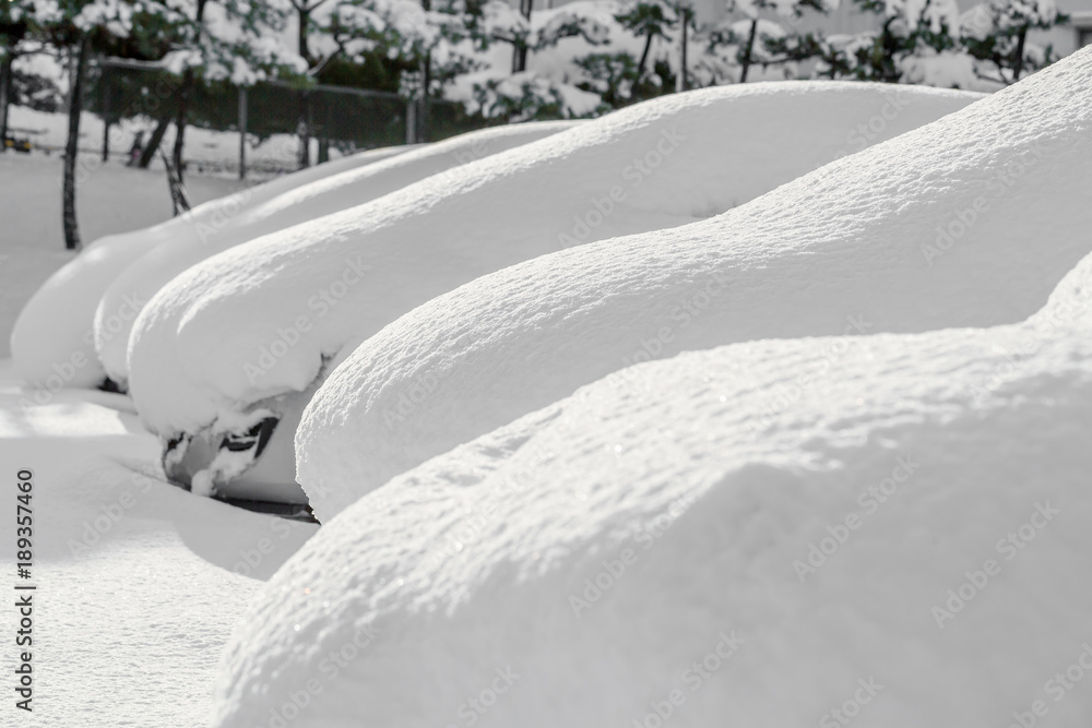 新雪に埋もれた車