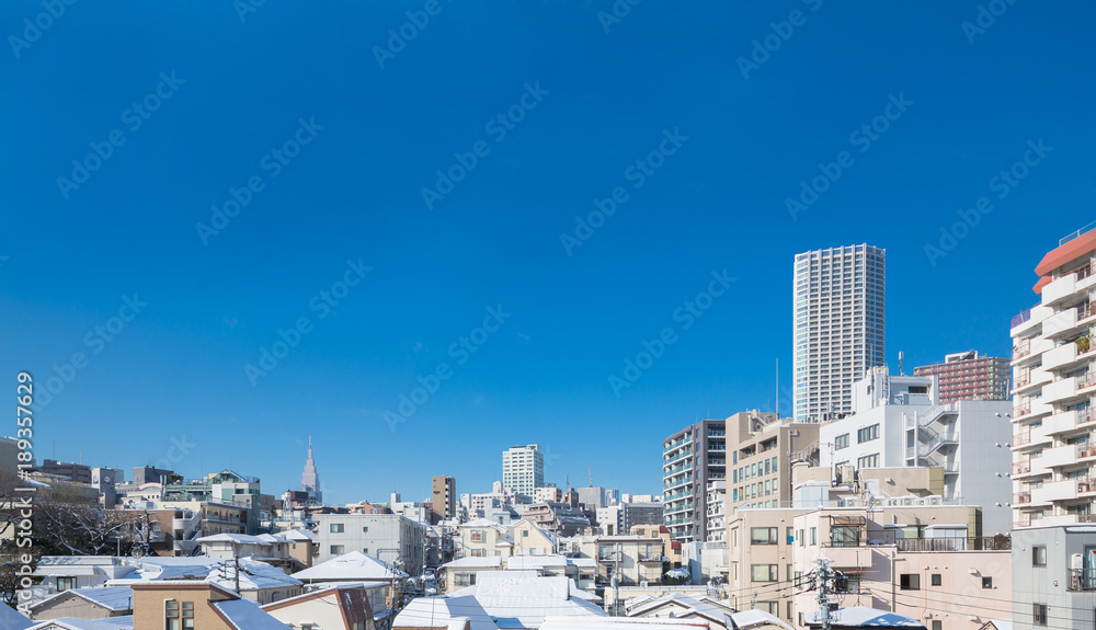 新雪が積もった東京の街角