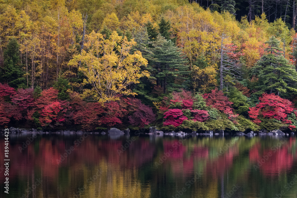 Shiragome pond at Nagano prefecture in autumn