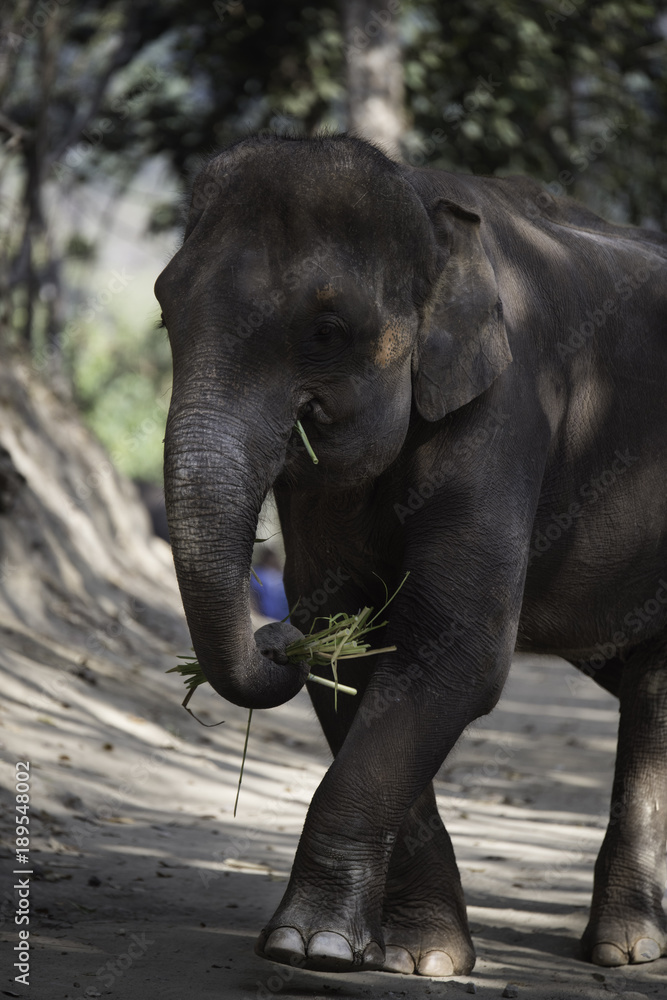 Travel Pictures North thailand, ANGELA MICHEL PHOTOGRAPHY