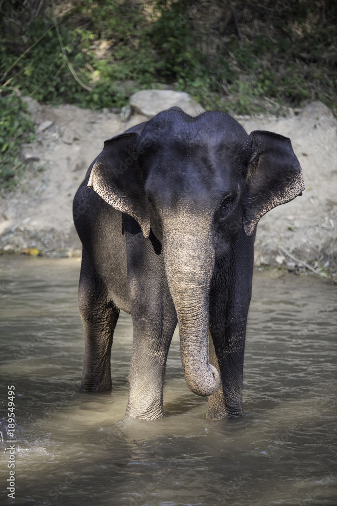 Travel Pictures North thailand, ANGELA MICHEL PHOTOGRAPHY