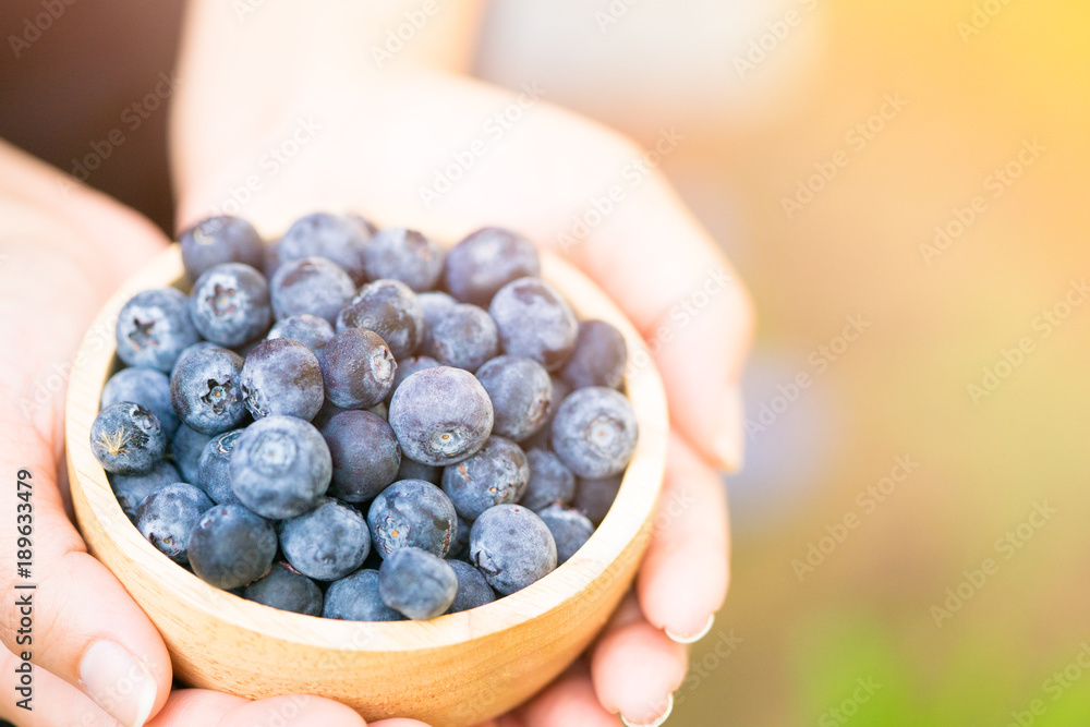 Blueberries in a bowl on woman farmer hand.