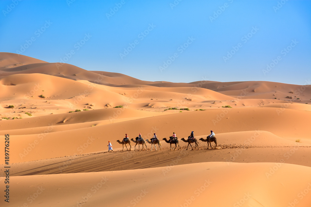 Karawana na pustynii撒哈拉，Wydmy Erg Chebbi。