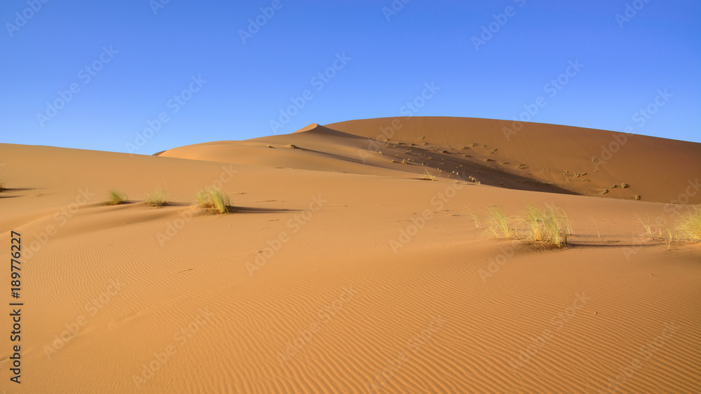 Wydmy Erg Chebbi. Sahara