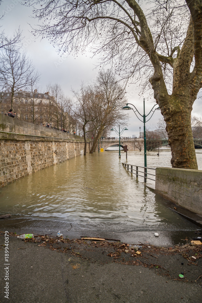 Flood of the Seine 2018 in Paris France