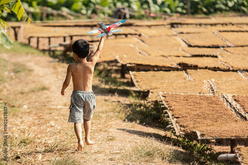 Children playing at the tobacco garden.Tobacco plant in garden of thailand.