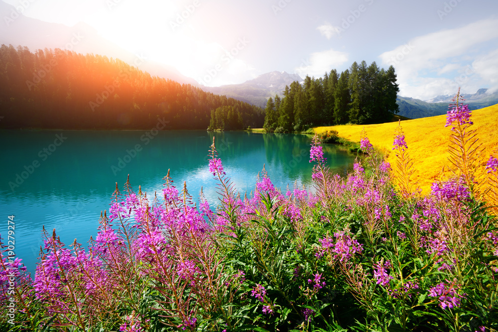 Amazing sunny day at Champferersee lake in the Swiss Alps. Silvaplana village, Switzerland, Europe. 