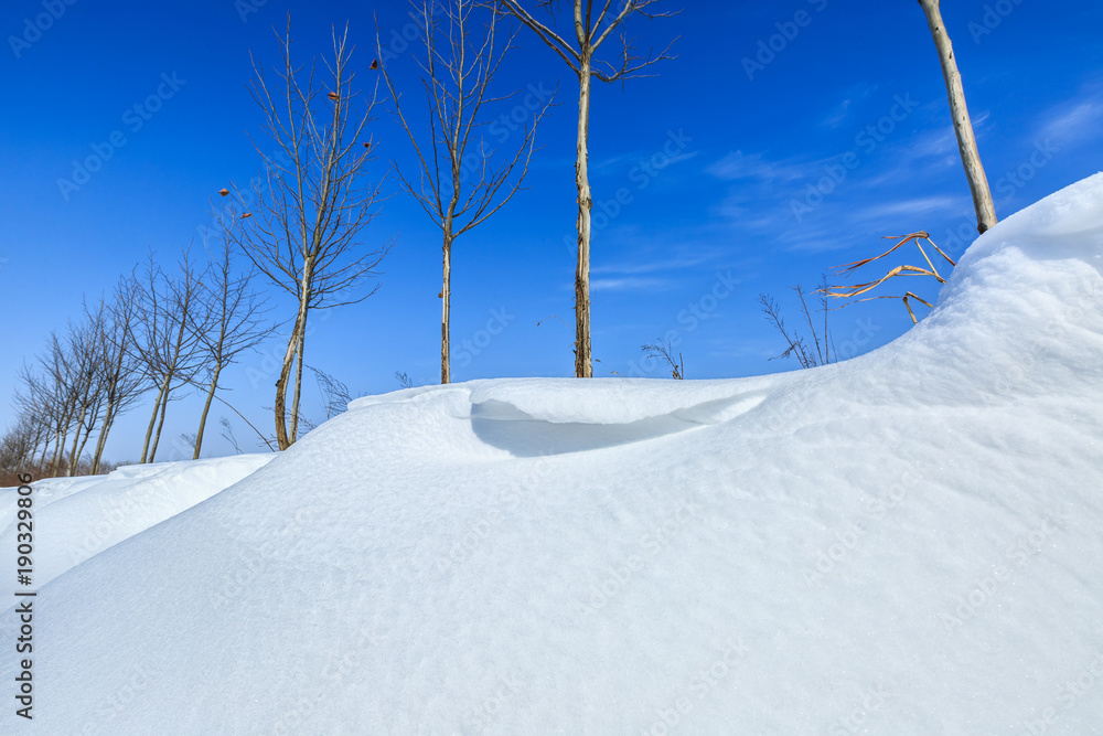 冬季白雪蓝天，树木自然景观