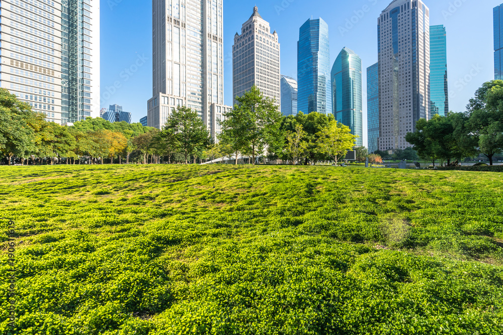 带城市景观的绿色草坪