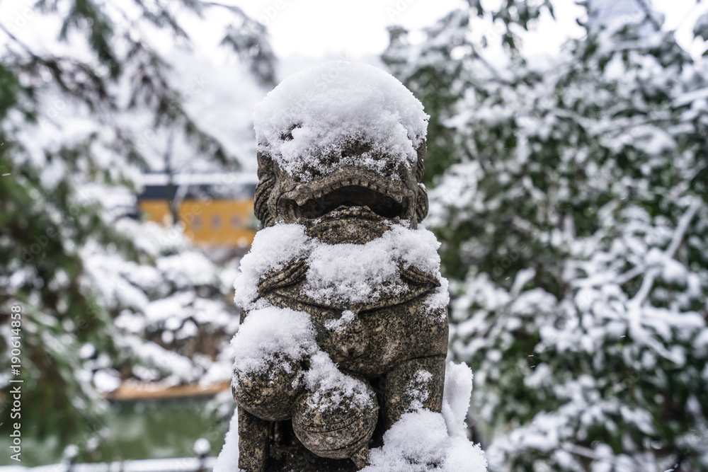 杭州西湖有雪