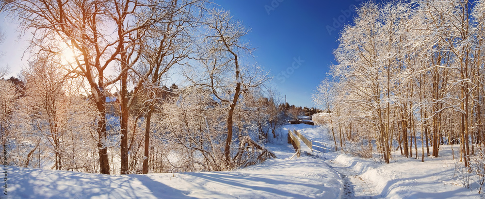 冬季小路、小桥和被雪覆盖的树木。晴朗的雪天，美丽的风景