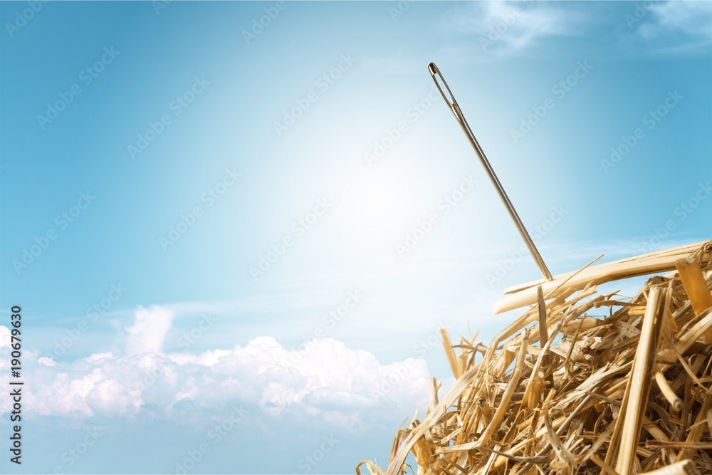 Needle in haystack on blurred background