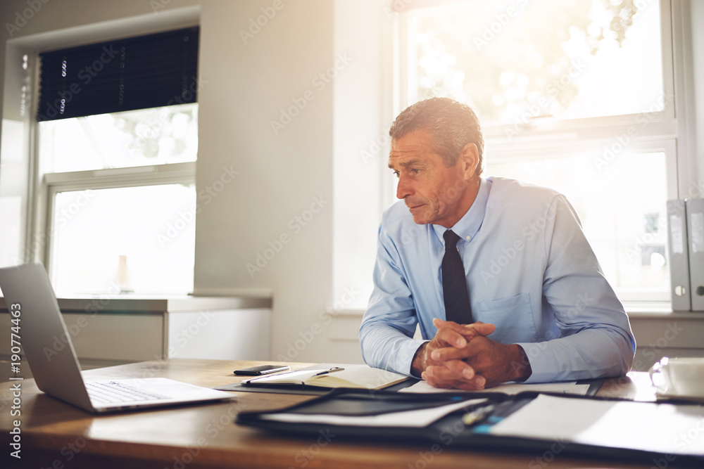 Mature businessman sitting in an office working on a laptop