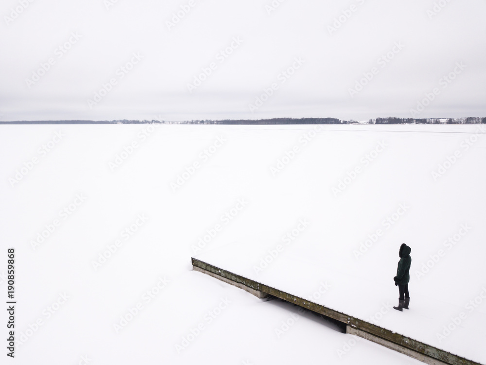 爱沙尼亚塔尔图，一个孤独的女人站在被雪覆盖的结冰的湖边。