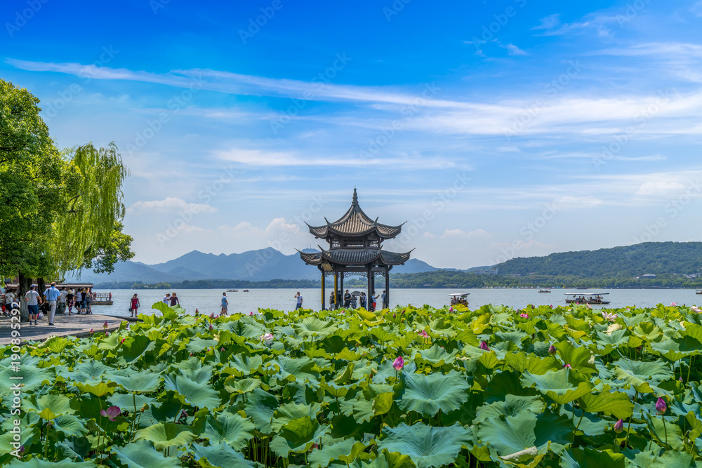 杭州西湖美丽的景观和建筑景观