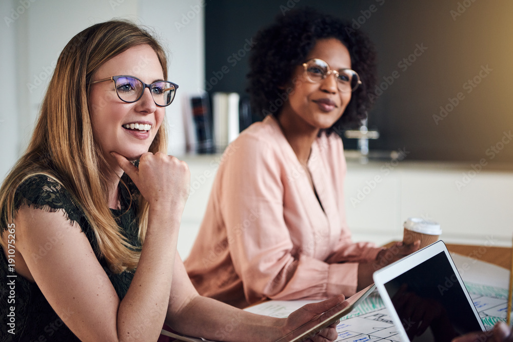 Businesswomen smiling during a meeting in an office boardroom