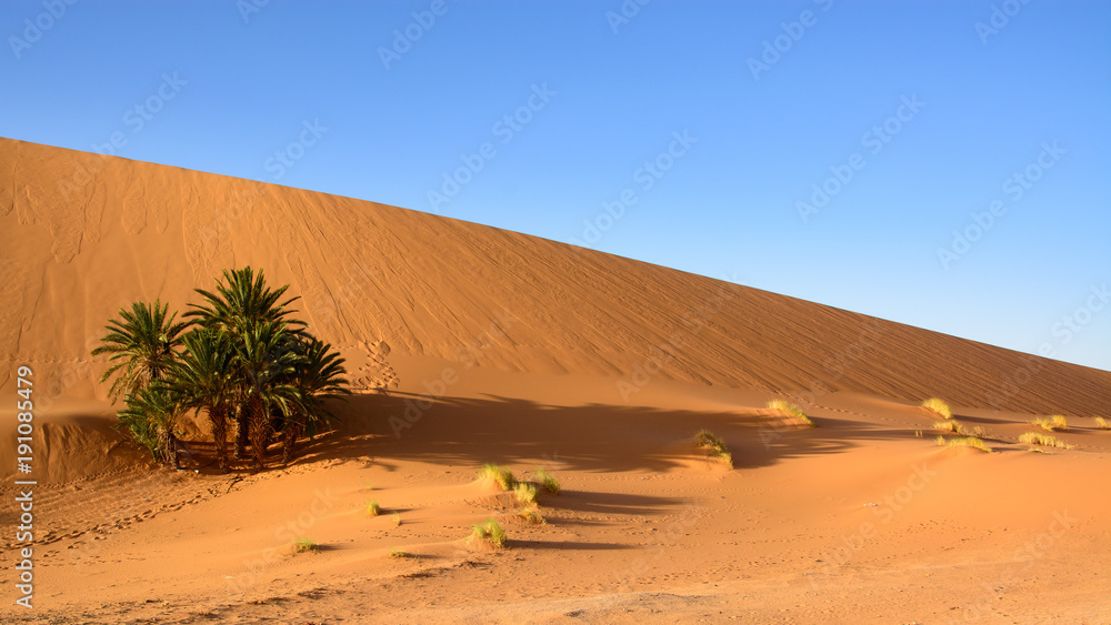 Wydmy Erg Chebbi, Sahara, Maroko